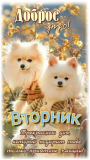 13.08.2024 (Казань) – утеряно: удостоверение ветерана боевых действий на имя «Ишимбаев Ильдар Равилевич» (фото 1)